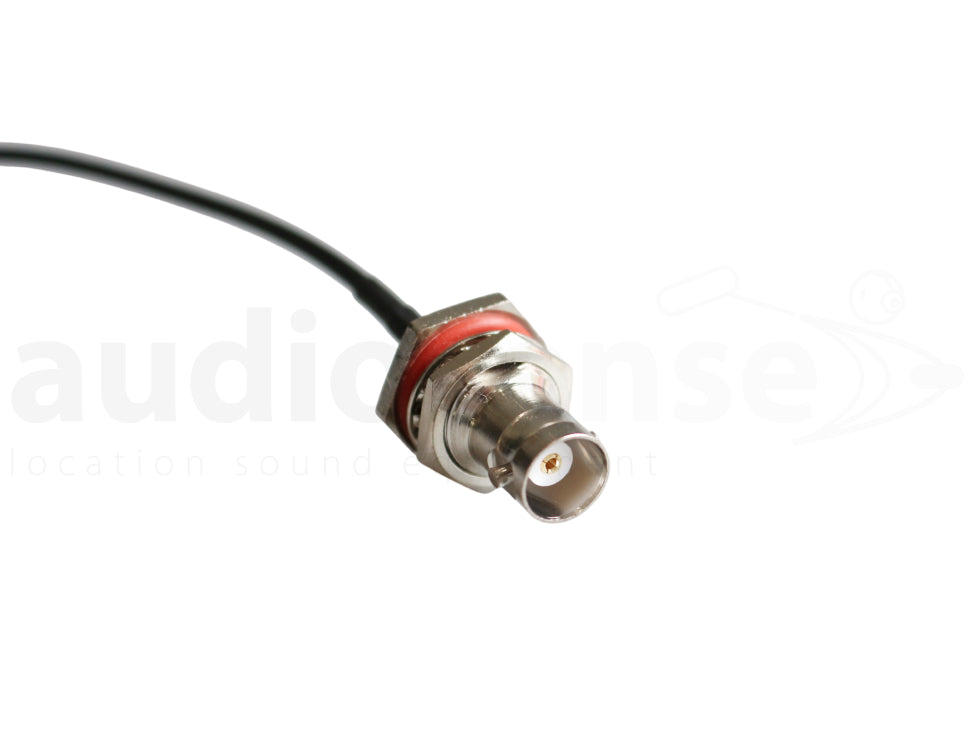 AUDIOSENSE antenna cable, BNC F bulkhead / SMA 90°, 30cm