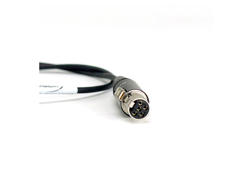 AMBIENT LTC-OUT-DBSM (timecode-out cable)