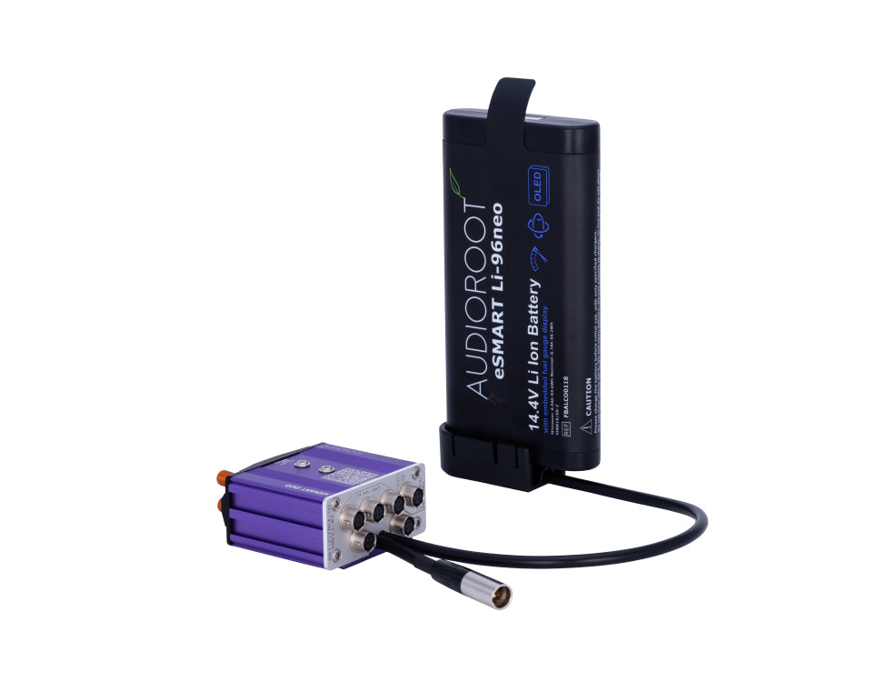 AUDIOROOT eSMART DUO