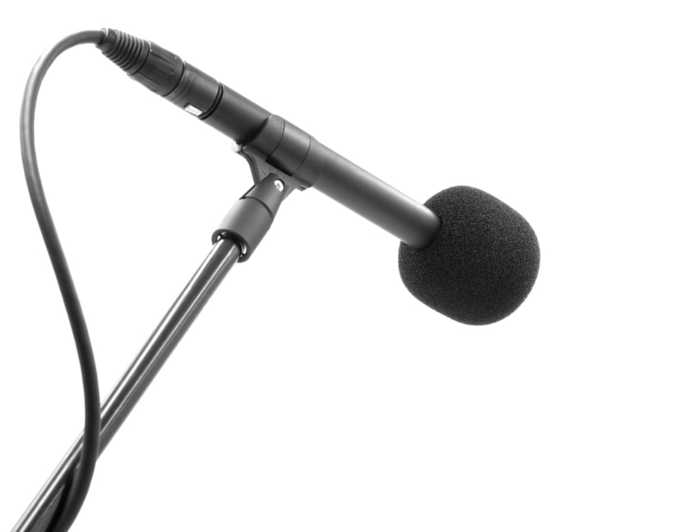 BUBBLEBEE INDUSTRIES The Microphone Foam, pencil
