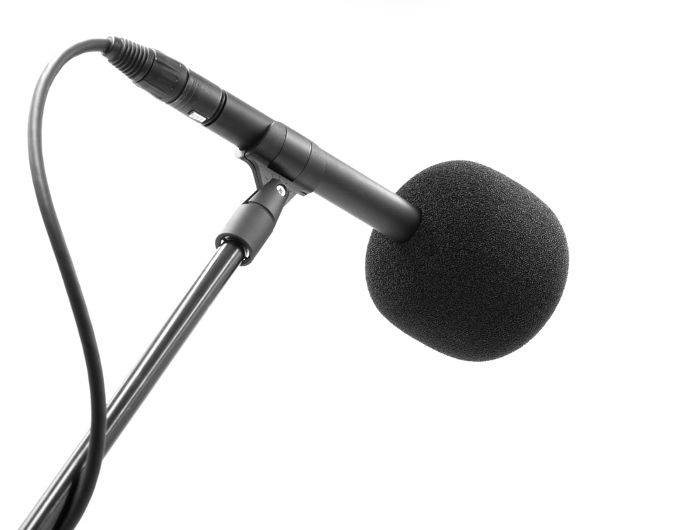 BUBBLEBEE INDUSTRIES The Microphone Foam, pencil