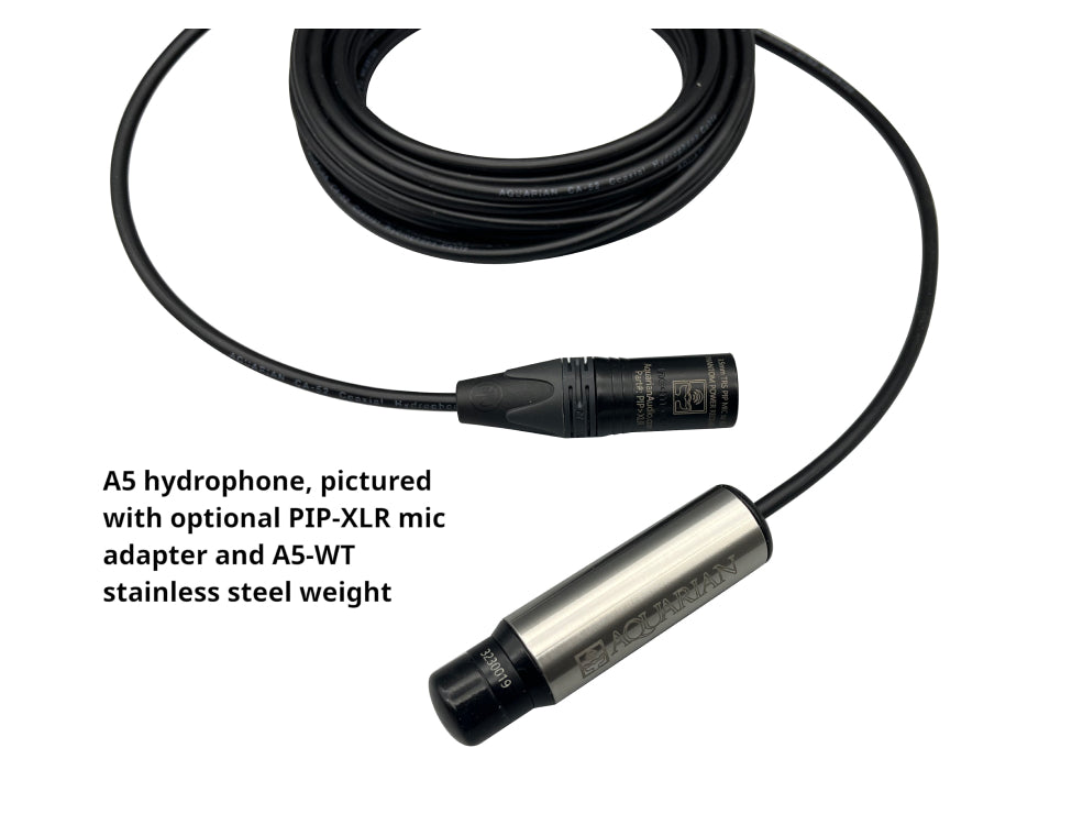 AQUARIAN AUDIO PIP-XLR