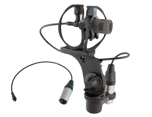 RADIUS WINDSHIELDS RAD-1, CCM/CMC1L edition, incl. cable