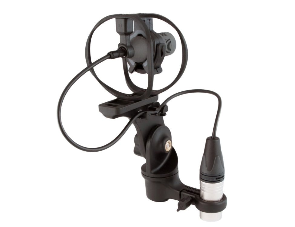 RADIUS WINDSHIELDS RAD-1, CCM/CMC1L edition, incl. cable